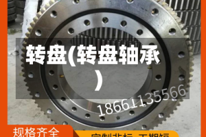 转盘(转盘轴承)