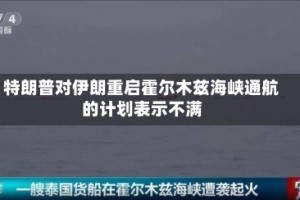 特朗普对伊朗重启霍尔木兹海峡通航的计划表示不满