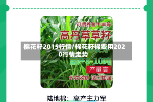 棉花籽2015行情/棉花籽棉费用2020行情走势