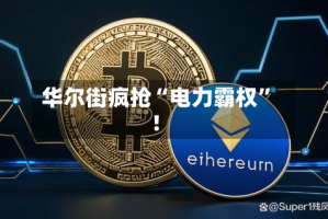 华尔街疯抢“电力霸权”！