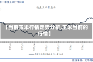 【当前玉米行情走势分析,玉米当前的行情】