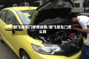 新飞度车门使用说明/新飞度车门怎么拆