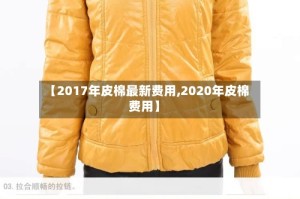 【2017年皮棉最新费用,2020年皮棉费用】
