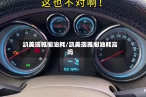 凯美瑞雅阁油耗/凯美瑞雅阁油耗高吗