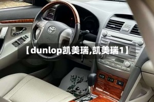 【dunlop凯美瑞,凯美瑞1】