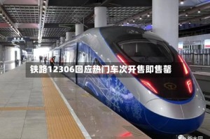 铁路12306回应热门车次开售即售罄