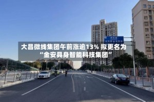 大昌微线集团午前涨逾13% 拟更名为“金安具身智能科技集团”