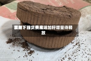 菜粕：现货费用震荡下行，供应端加籽增量待释放