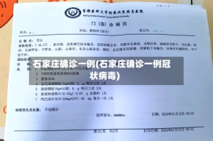 石家庄确诊一例(石家庄确诊一例冠状病毒)