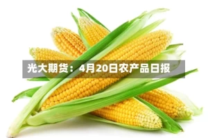 光大期货：4月20日农产品日报