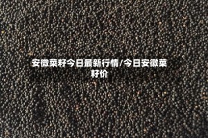 安微菜籽今日最新行情/今日安徽菜籽价