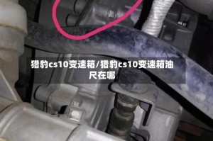 猎豹cs10变速箱/猎豹cs10变速箱油尺在哪