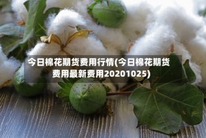 今日棉花期货费用行情(今日棉花期货费用最新费用20201025)