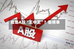 谁是A股“王中王”？看榜单！