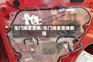 车门线束更换/车门线束更换教程