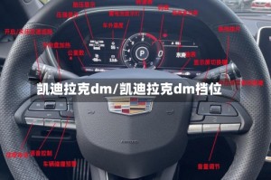 凯迪拉克dm/凯迪拉克dm档位