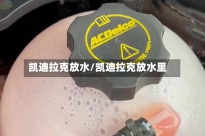 凯迪拉克放水/凯迪拉克放水里