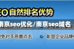 南京seo优化/南京seo域名