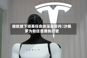 微软旗下领英任命资深高管丹・沙佩罗为新任首席执行官