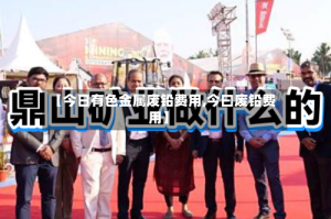 【今日有色金属废铅费用,今曰废铅费用】