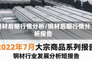 钢材后期行情分析/钢材后期行情分析报告