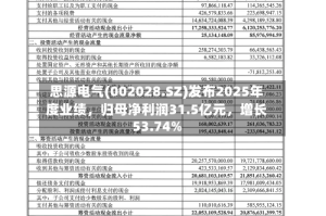 思源电气(002028.SZ)发布2025年度业绩，归母净利润31.5亿元，增长53.74%