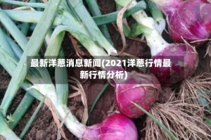 最新洋葱消息新闻(2021洋葱行情最新行情分析)