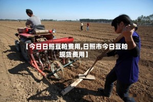 【今日日照豆粕费用,日照市今日豆粕现货费用】