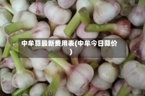 中牟蒜最新费用表(中牟今日蒜价)