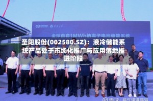 圣阳股份(002580.SZ)：液冷储能系统产品处于市场化推广与应用落地推进阶段
