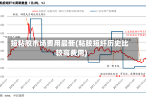 短粘胶市场费用最新(粘胶短纤历史比较高费用)