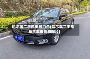 哈尔滨二手凯美瑞白色(哈尔滨二手凯马货车报价和图片)