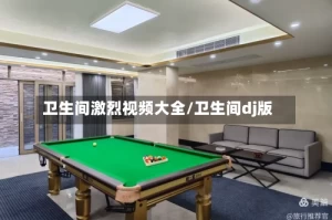 卫生间激烈视频大全/卫生间dj版