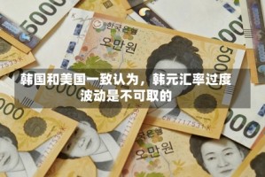 韩国和美国一致认为，韩元汇率过度波动是不可取的