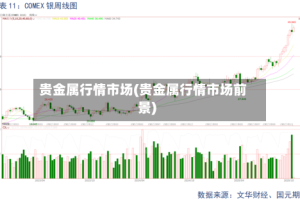 贵金属行情市场(贵金属行情市场前景)