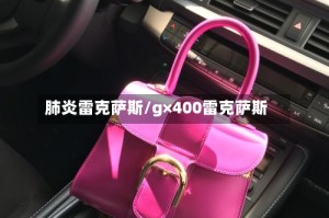 肺炎雷克萨斯/g×400雷克萨斯