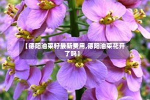 【德阳油菜籽最新费用,德阳油菜花开了吗】