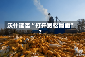 沃什能否“打开宽松局面”？