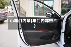 小车门内景(车门内部照片)