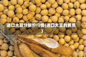 进口大豆分销价行情(进口大豆的费用)