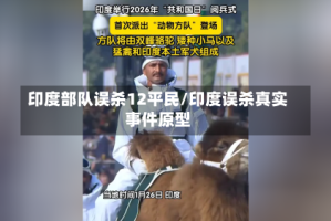 印度部队误杀12平民/印度误杀真实事件原型