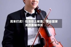 周末打虎！伍浩任上被查，曾任国家发改委秘书长