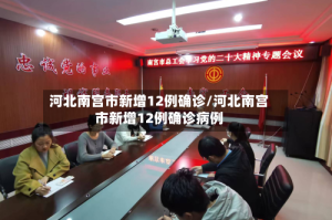 河北南宫市新增12例确诊/河北南宫市新增12例确诊病例