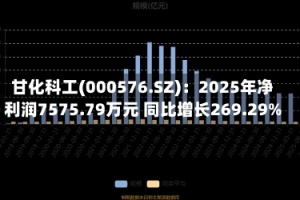 甘化科工(000576.SZ)：2025年净利润7575.79万元 同比增长269.29%