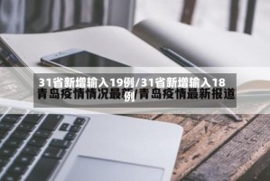 31省新增输入19例/31省新增输入18例