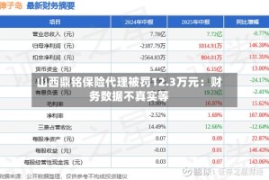 山西鼎铭保险代理被罚12.3万元：财务数据不真实等