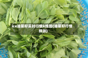 ice油菜籽实时行情k线图(油菜籽行情预测)