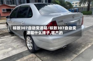 标致307自动变速箱/标致307自动变速箱什么牌子,哪产的