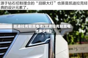 凯迪拉克轻混电池(凯迪拉克轻混电池多少钱)