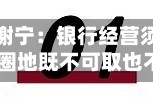 南京银行董事长谢宁：银行经营须杜绝大起大落 单纯跑马圈地既不可取也不可持续